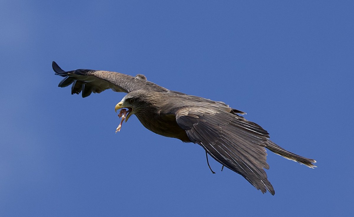 border70's tweet image. A few from a photographic day yesterday.