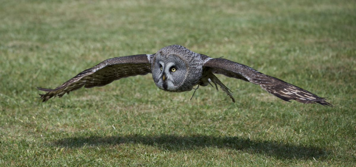 border70's tweet image. A few from a photographic day yesterday.