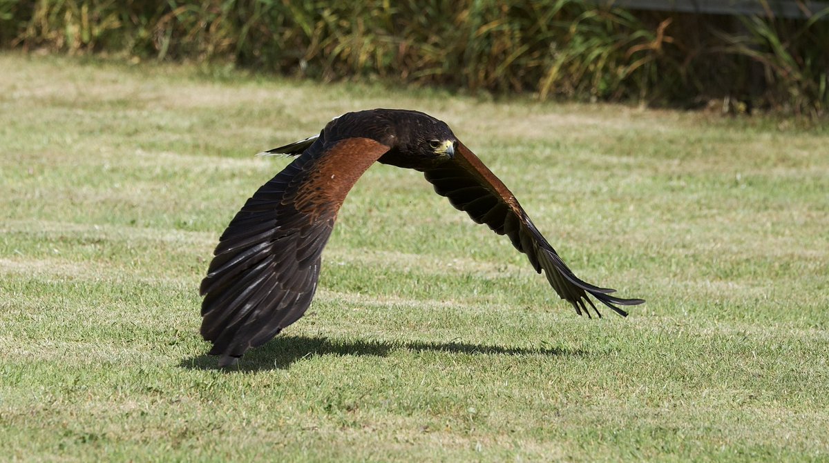 border70's tweet image. A few from a photographic day yesterday.