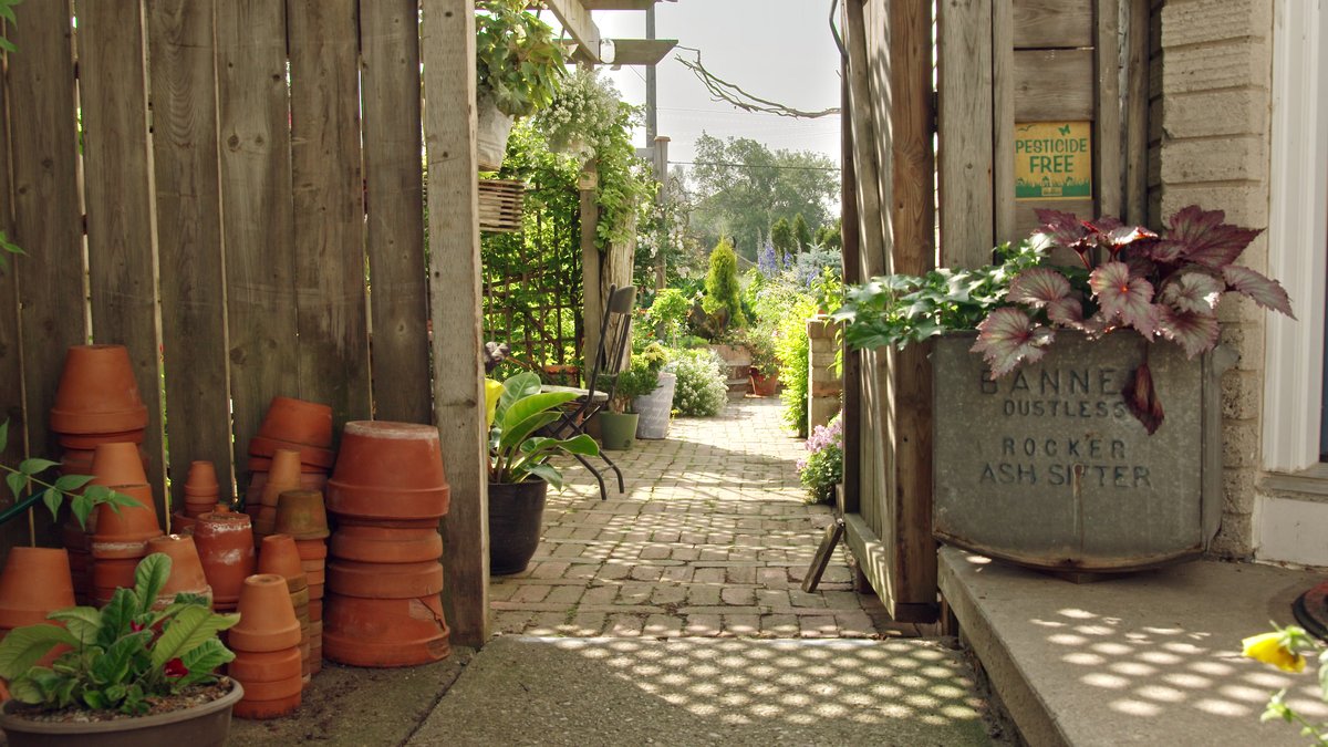 A lily connoisseur identifies hidden and rare plants left by the previous owner. A public garden welcomes year-round volunteers and visitors. Writing about his travels helps a gardener appreciate his own garden. Monday on <a href="/VisionTV/">VisionTV</a> (9pm ET / 6pm PT).
youtu.be/mp-dibx1sF4