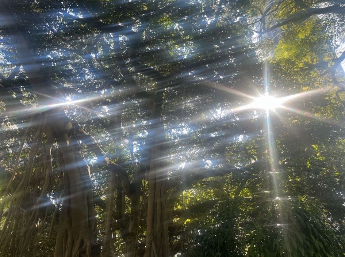 ِ (@controdicting) on Twitter photo 