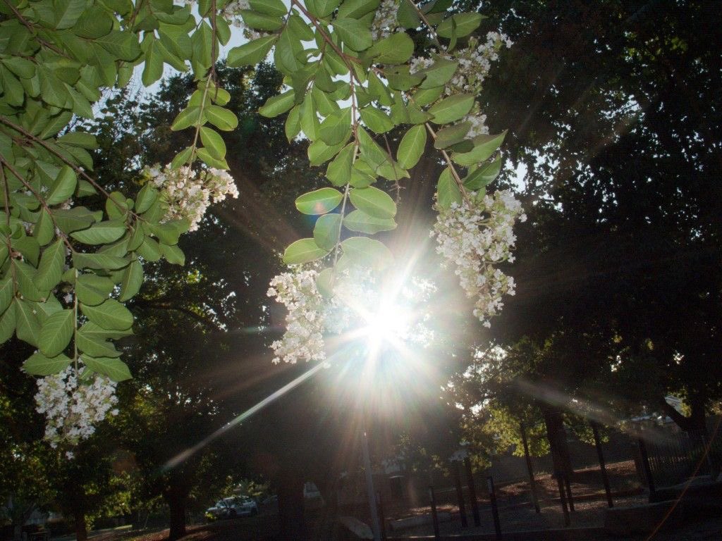 controdicting's tweet image. 