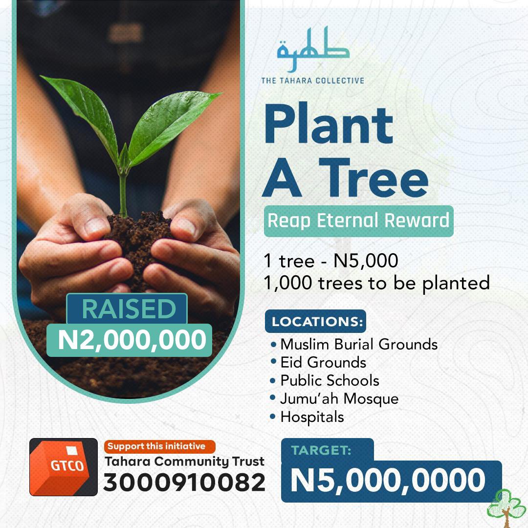Alhamdulillah — we’ve raised N2M for our Tree Planting Project!
1,000 trees to be planted across masjids, schools, hospitals &amp; more.
N5,000 = 1 tree
N3M to go. Let your charity take root.

Donate: 
Bank: GTB 
Account number: 3000910082 
Account name: Tahara Community Trust
