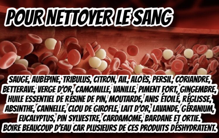 pres_reine's tweet photo. @liasagan Tout le monde devrait connaître les antipoisons et antibiotiques. 

La moutarde m’a sauvé la vie en 2022.  

Sauge et argile verte aussi comme anti poison et antibiotiques. https://t.co/lwj8TEXtgp