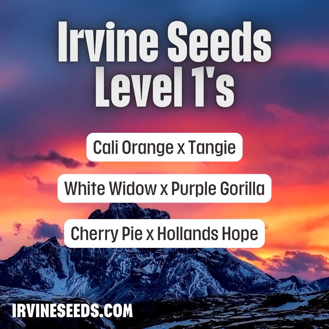 New Level 1’s!💥

irvineseeds.com/testers-1/

#growyourown #cannabisindustry #seeds