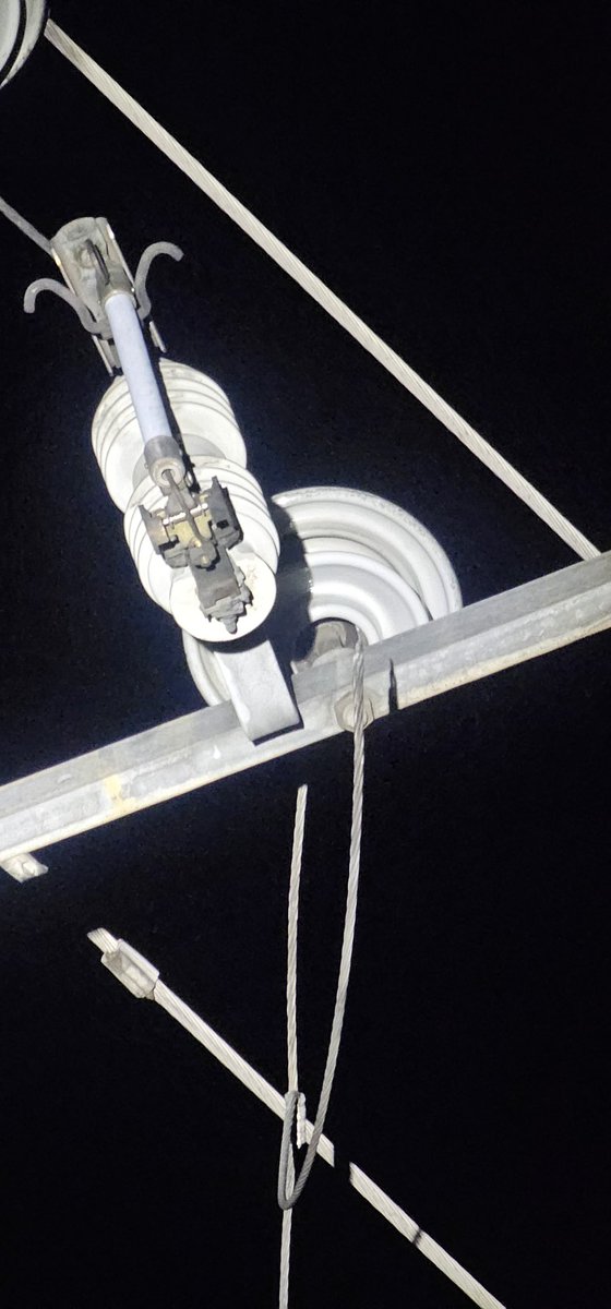 LAS AGUILAS ®️ tweet media