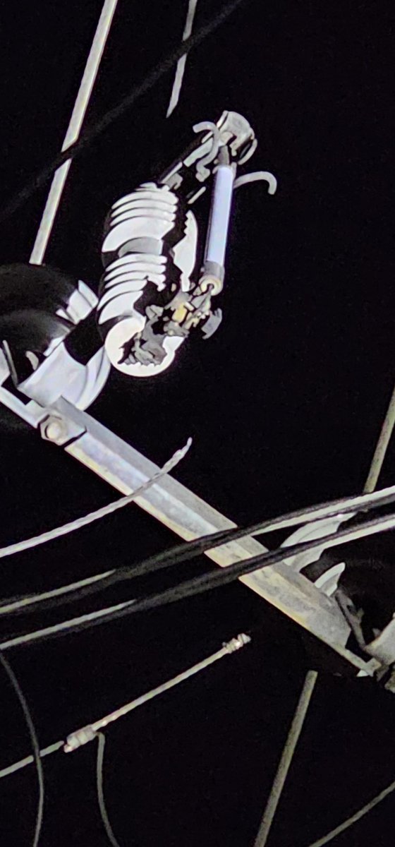 LAS AGUILAS ®️ tweet media