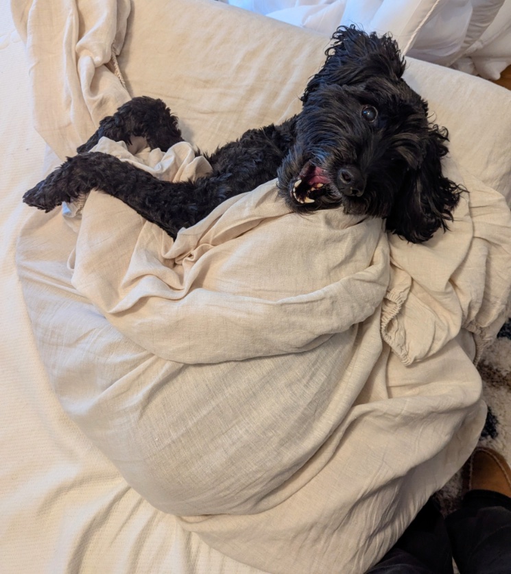 Tim Monks (@itsmonktastic) on Twitter photo 