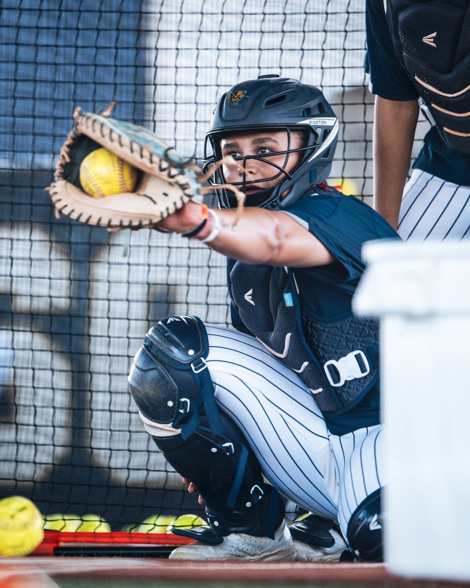 nat burns tweet media