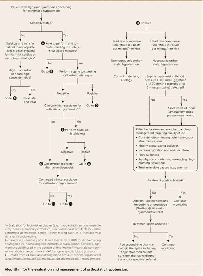 ZHeart11768530's tweet photo. 🔴Orthostatic Hypotension: A Practical Approach⤵️ 

🔹Is defined as a decrease in blood pressure of
     1️⃣0 mm Hg or more diastolic or 
     2️⃣0 mm Hg or more systolic within 
     3️⃣ minutes of standing from the supine position
🔹https://t.co/xdHlPk5RG7 https://t.co/KOUqHCPYB6