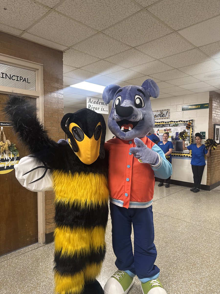 Howard Hall tweet media