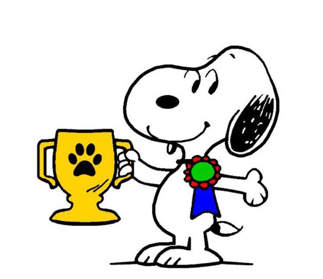 maxversnoopy's tweet image. Franz Herman debut race win 🏆 💞