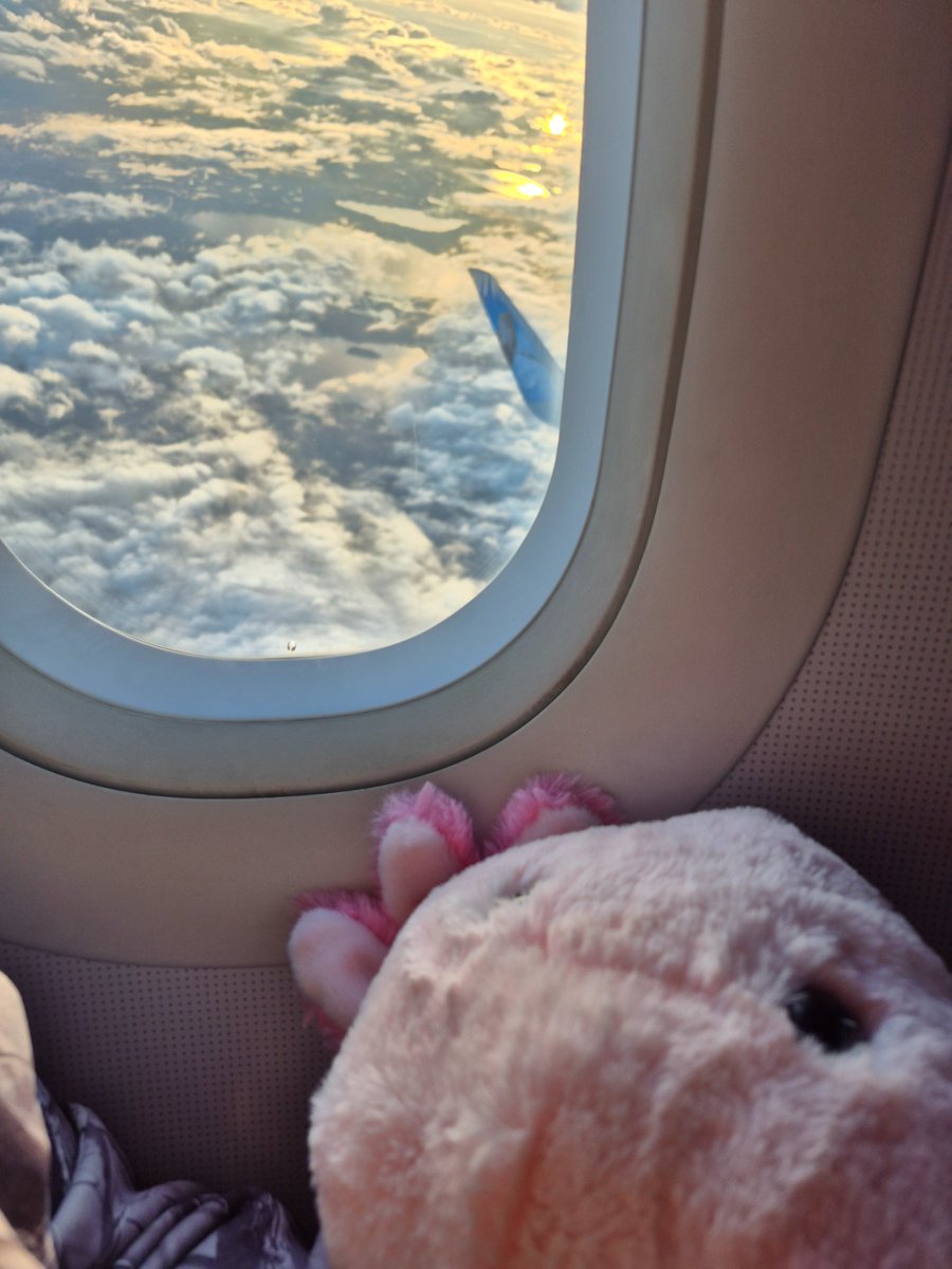 KarmaAnon16's tweet photo. I was born to fly tbh i love planes💕💕💕 #Planes #americanair https://t.co/jHB1la7HoG