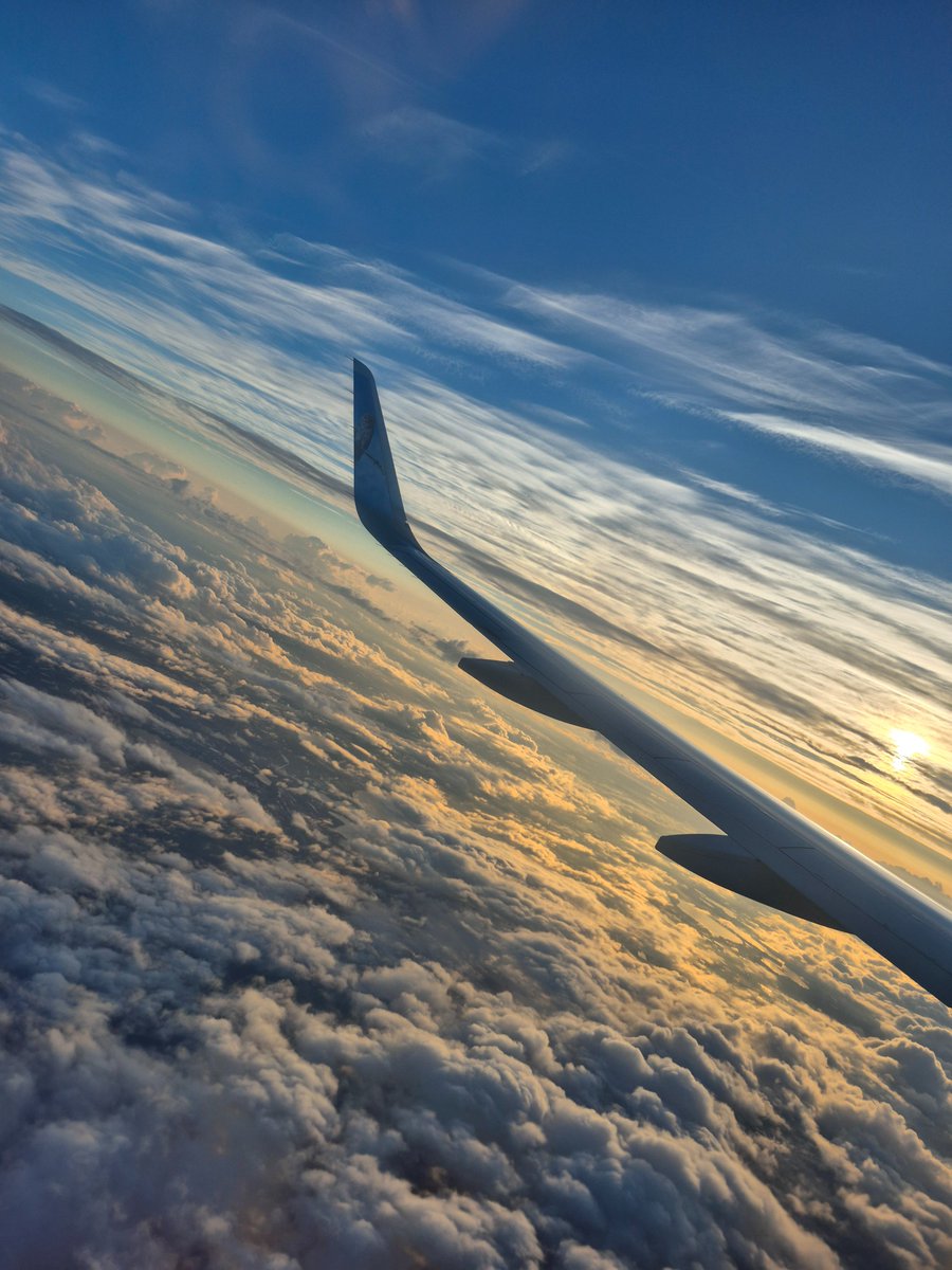 KarmaAnon16's tweet photo. I was born to fly tbh i love planes💕💕💕 #Planes #americanair https://t.co/jHB1la7HoG