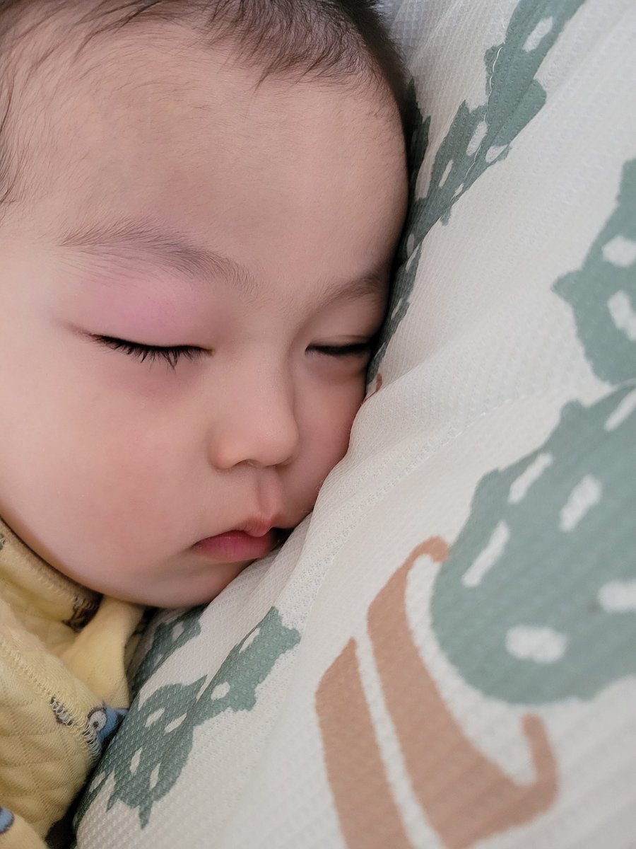 Aloha32103878's tweet photo. 上の子は3歳で夜泣きが終わり朝までがっつり寝てくれるようになっらけど、この2歳5か月の赤ちゃんはいつになったら夜泣き終わる（笑）?😂
#年子育児 https://t.co/VlUnTxxfjs