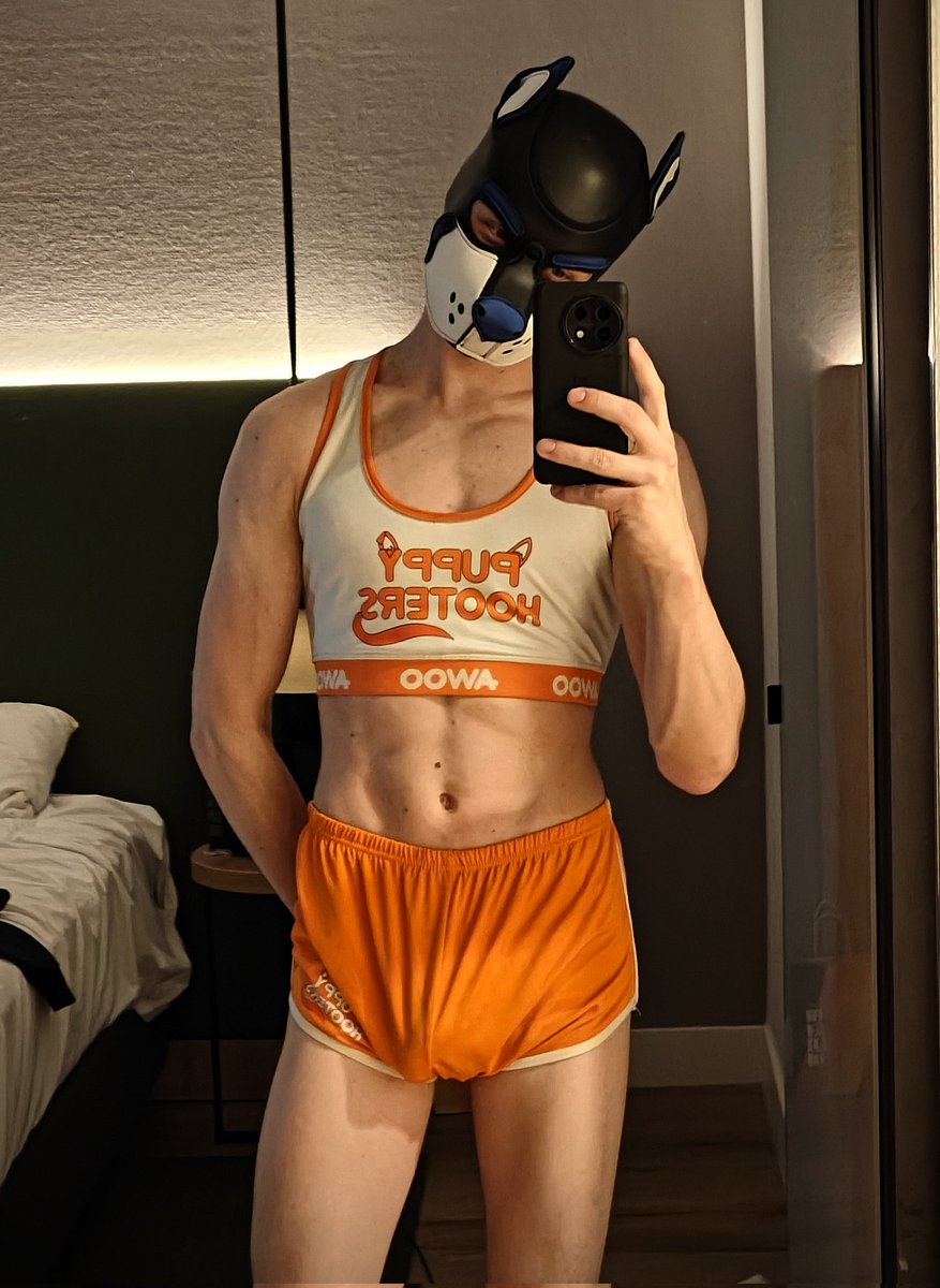 Pup Dutch 🔜 🇬🇧Animalz tweet media