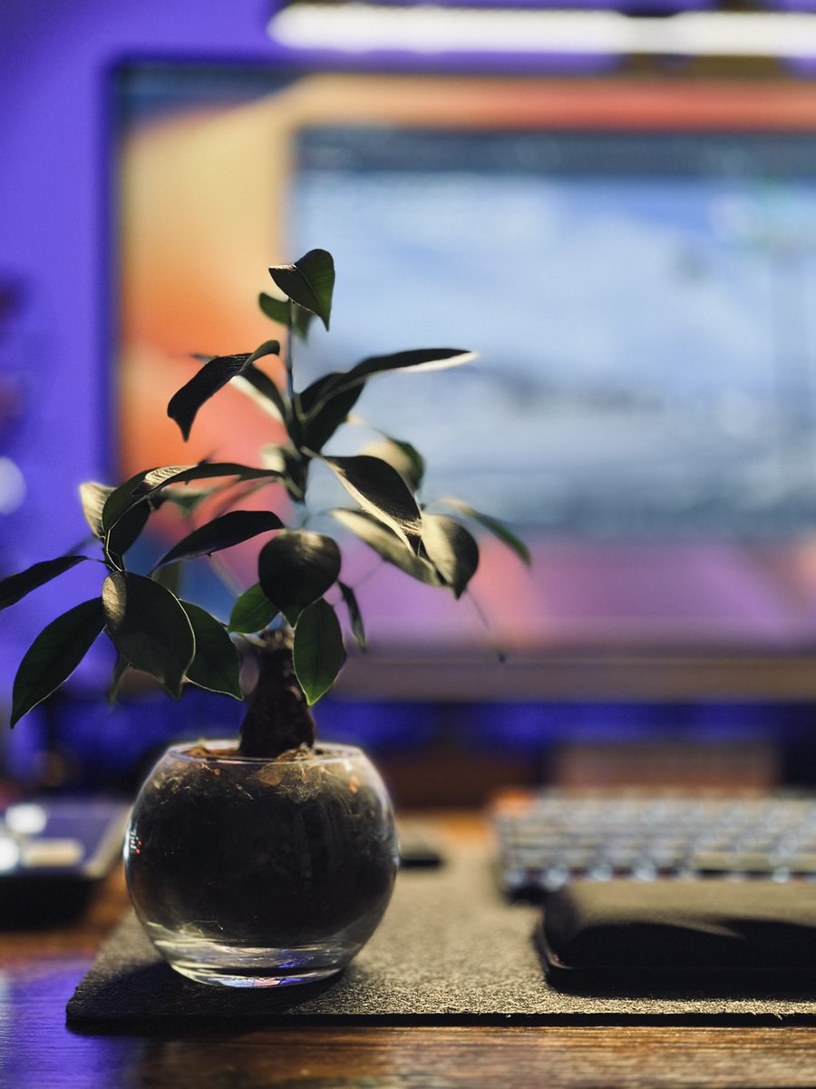 namiwo's tweet image. iPhoneカメラのポートレート撮影。F値とか露出とかわかって触ると面白いなぁ。(今更ですが)
一枚目がポートレートモードで撮った写真。2枚目が普通に撮った写真。
#iPhone
#iPhone14Pro