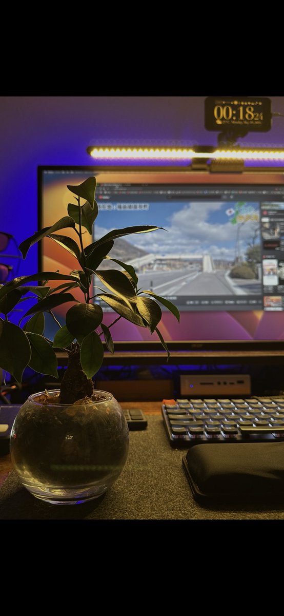 namiwo's tweet image. iPhoneカメラのポートレート撮影。F値とか露出とかわかって触ると面白いなぁ。(今更ですが)
一枚目がポートレートモードで撮った写真。2枚目が普通に撮った写真。
#iPhone
#iPhone14Pro