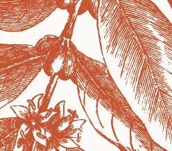 mybeerbuzz's tweet image. Summit Brewing &amp;amp; Bizzy Cold Brew Collaborate On Cold Brew Coffee Amber Ale mybeerbuzz.blogspot.com/2025/05/summit… @summitbeer @bizzycoldbrew #MNbeer #beernews #newbeer #beer #beers #beertwitter #craftbeer #cans #Summit #Bizzy