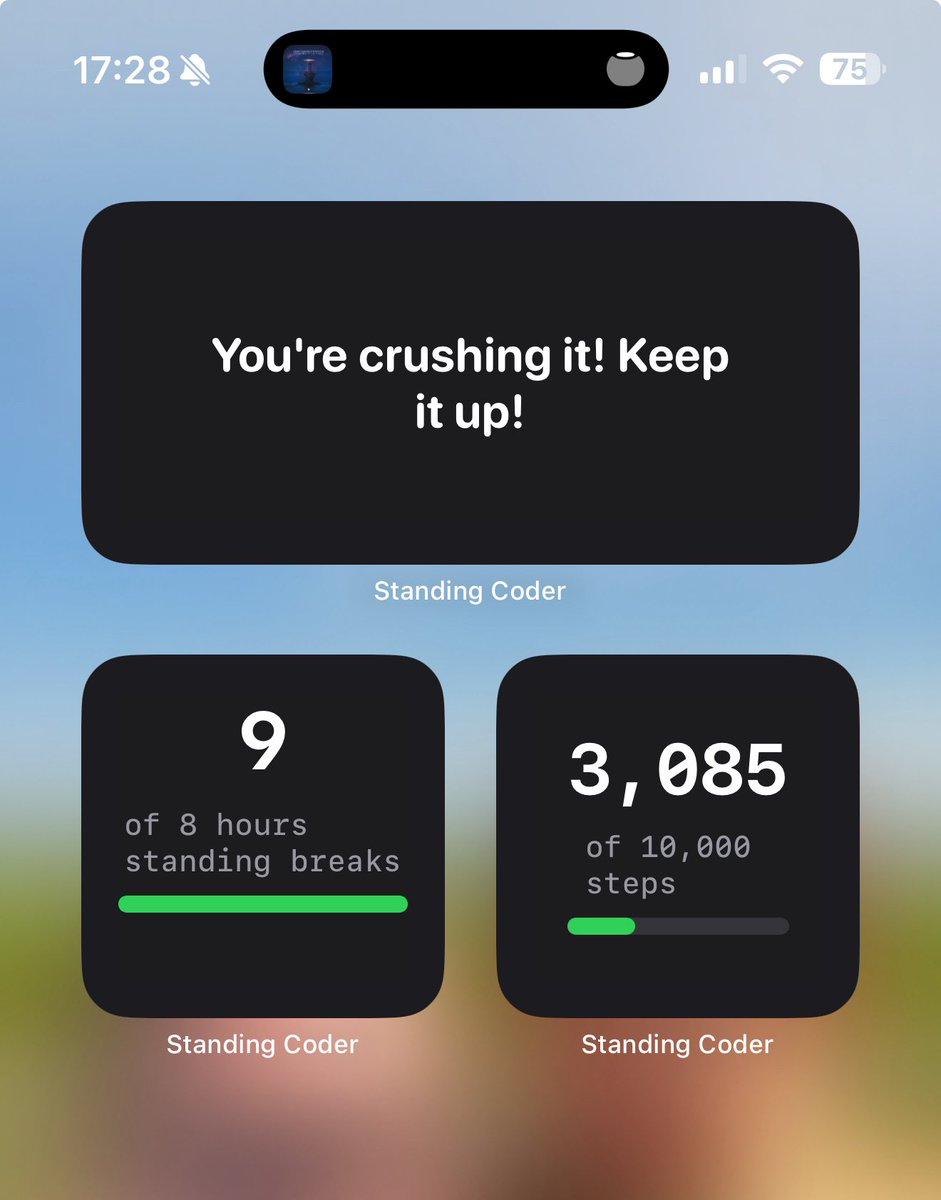 devbyrayray's tweet photo. So happy how my widgets of the Standing Coder app helping me move more (even on Sunday 😅)

Moving is good for us #developers and #deskworkers 💪

#buildinpublic #indiedev #vibecoding https://t.co/ugS87Wx04A