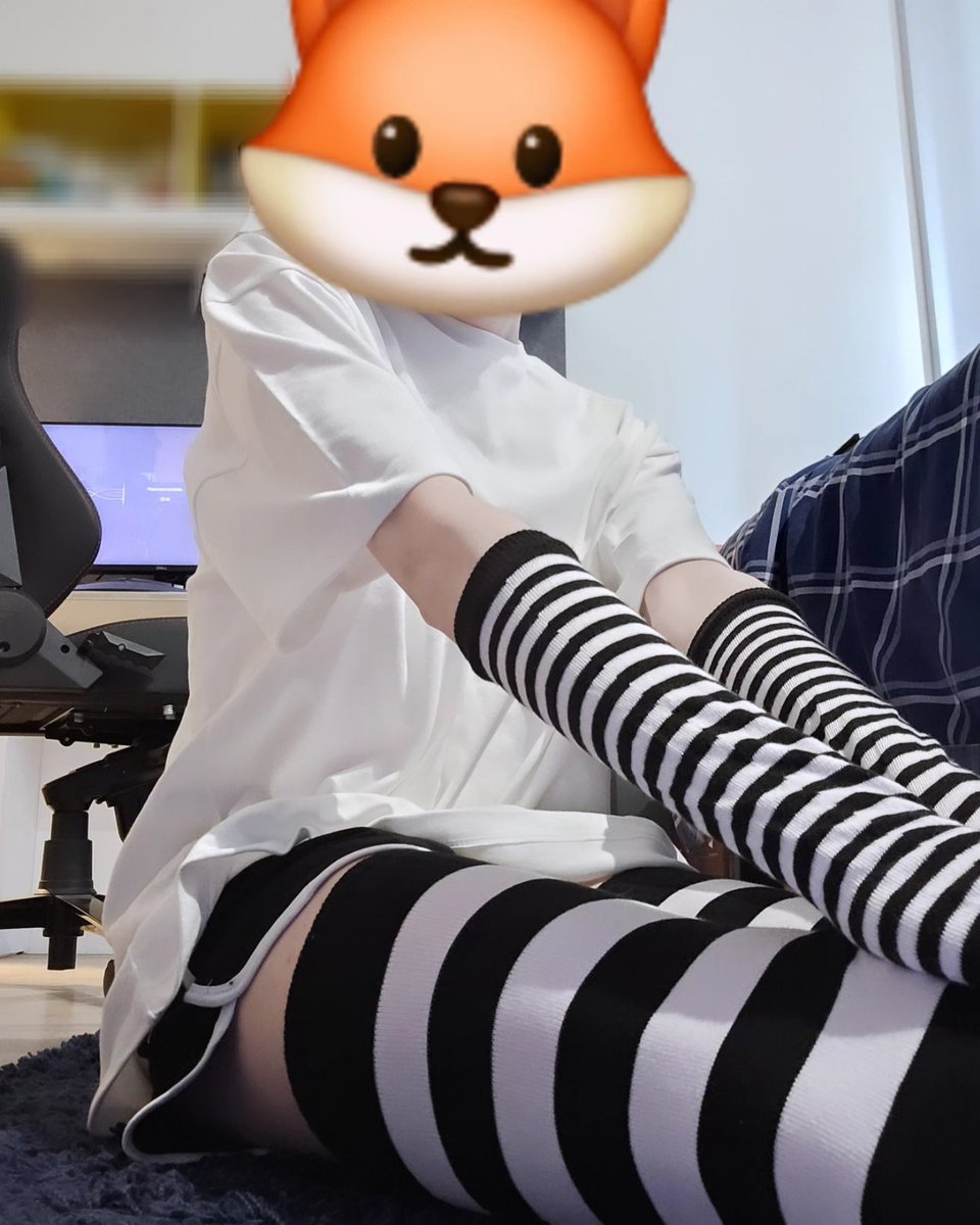 Maishu_Foxx's tweet photo. Fox on your feed! 💕 https://t.co/CVKg4sXXYv