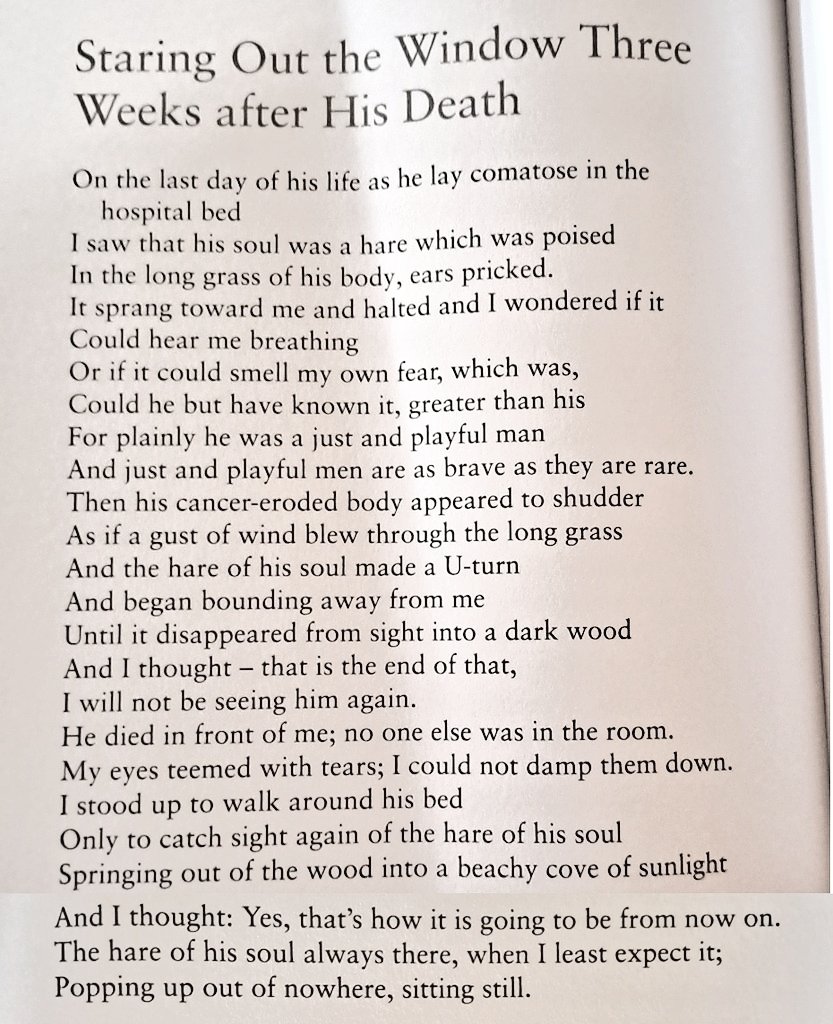 ianduhig's tweet photo. Paul Durcan wrote this, but I feel he had the soul of a hare as well. https://t.co/i4nTYo0w7D