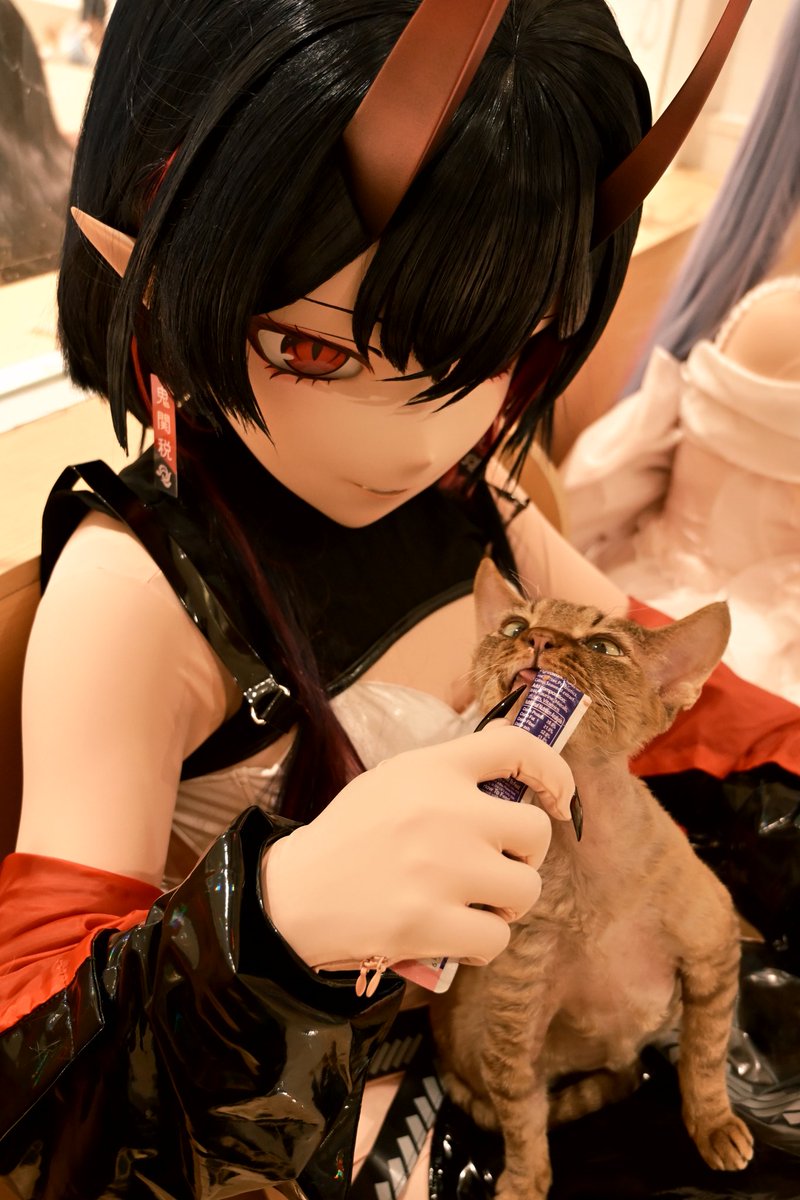 入坑这么久还是第一次变娃到猫咖~
📷:<a href="/Tunisan_09/">禿尼尼( ´▽` )</a>