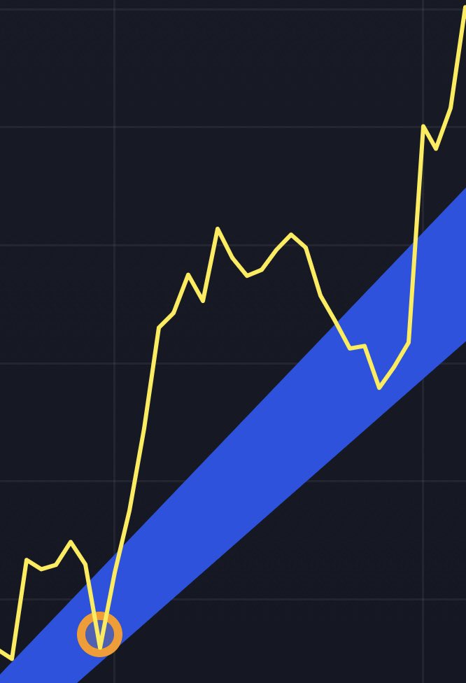 BitMaster ⚡️ tweet media