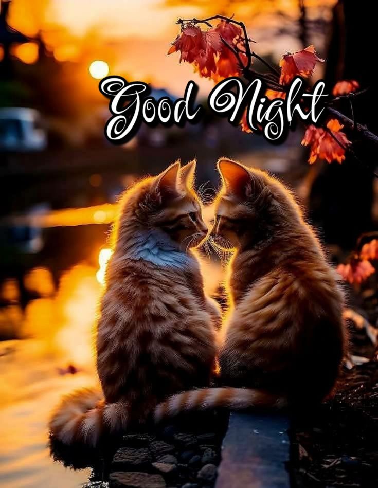 Rest your worries, and let your dreams take flight. Good night!🔙