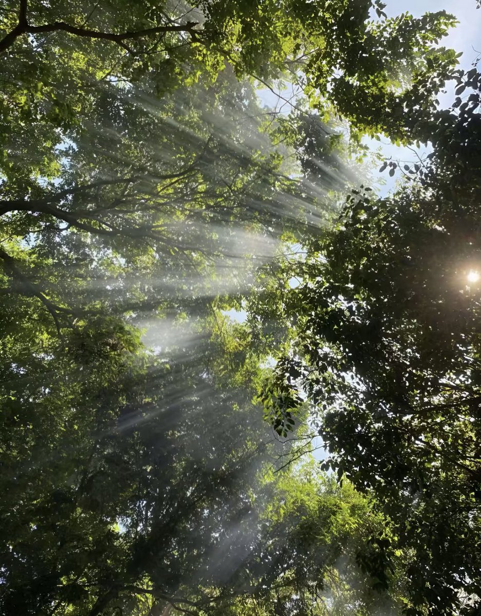 10_4I's tweet image. «يعكس شعاع النور من نور خِلّي..»