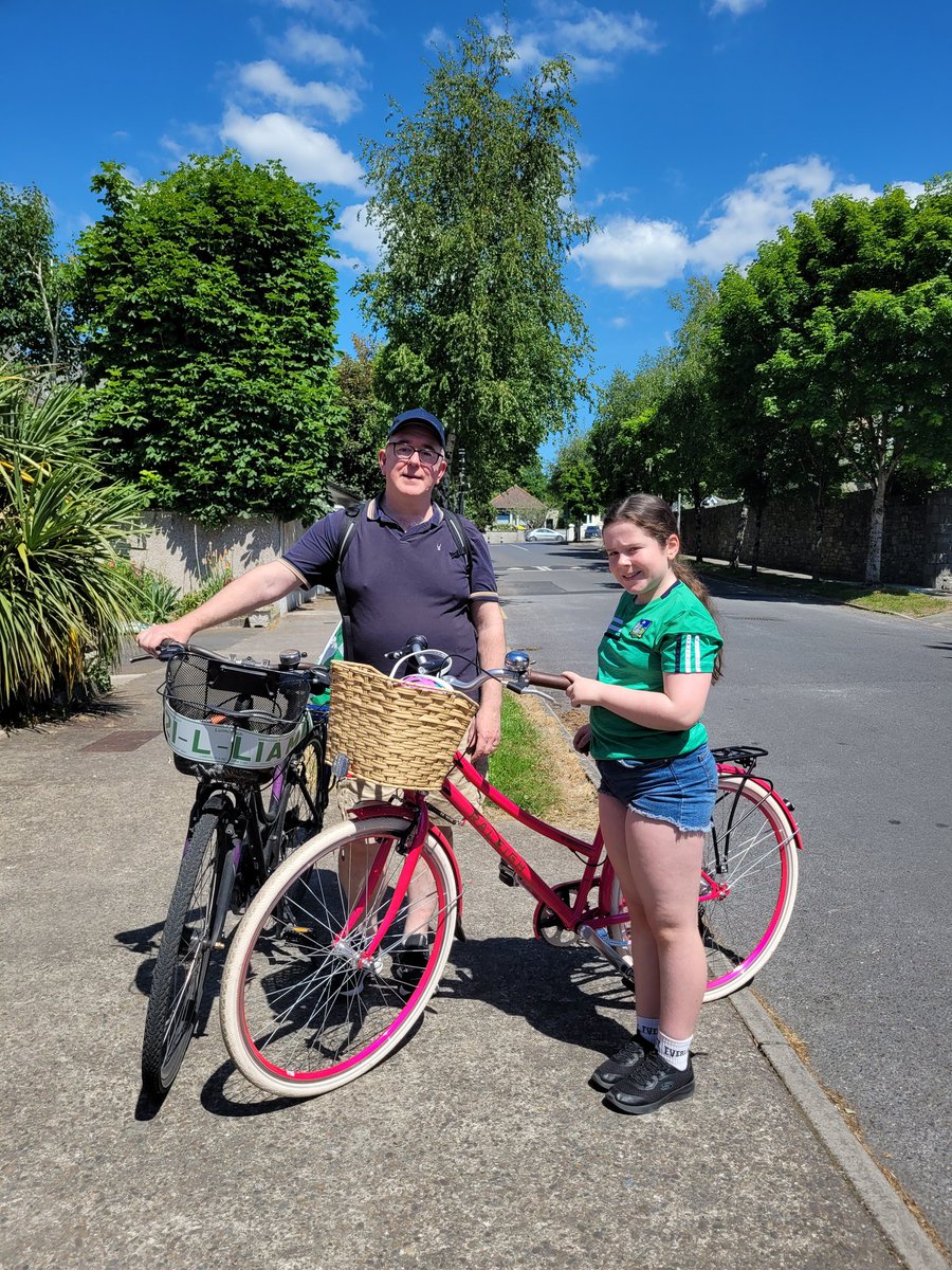 BallGaelsGAA's tweet photo. @BallGaelsGAA supporters out in great numbers today. What a first half from #Limerick 
#LuimneachAbu #hurling @TheSundayGame https://t.co/MtXjC6IOob