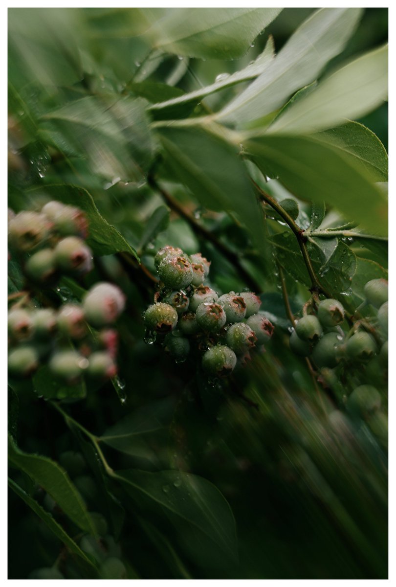 tiairrabrown's tweet image. she loves the rain 🌧️