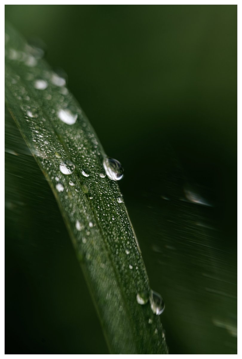tiairrabrown's tweet image. she loves the rain 🌧️