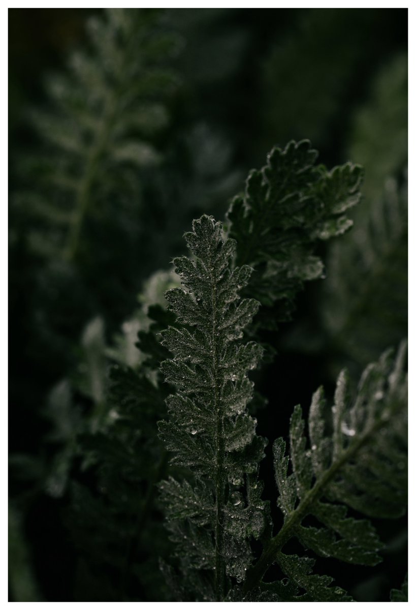 tiairrabrown's tweet image. she loves the rain 🌧️