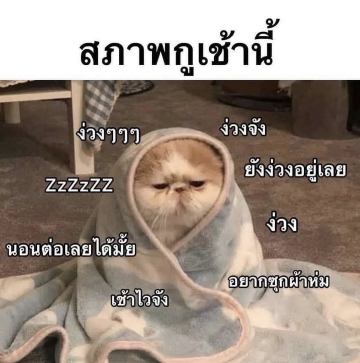สภาพกูในทุกเช้าๆ :