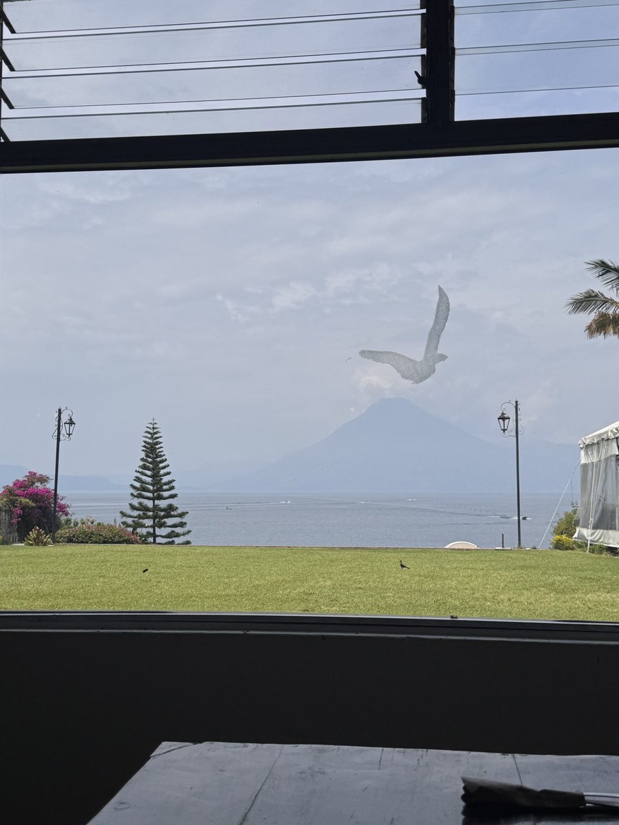 Execlente panorama