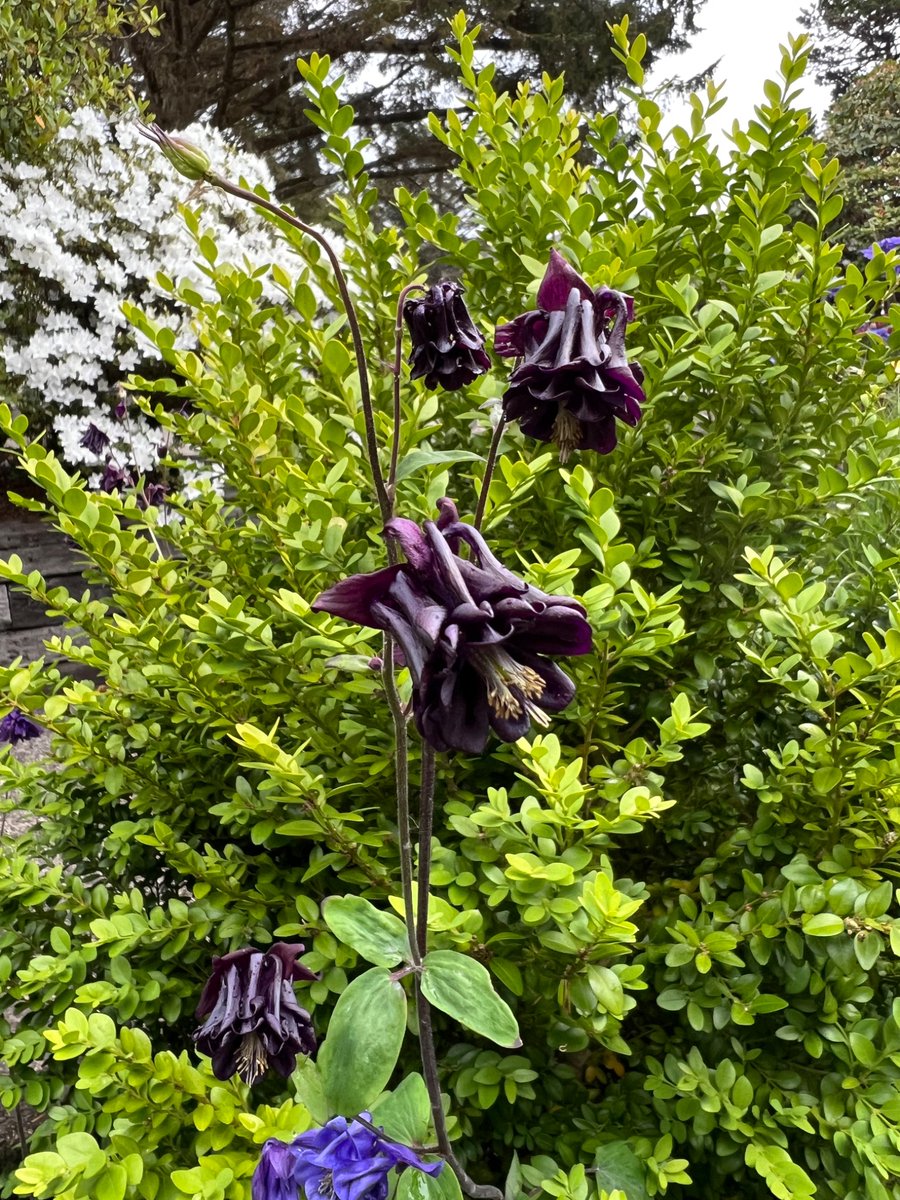 asimplepoet (@asimplepoet1) on Twitter photo 