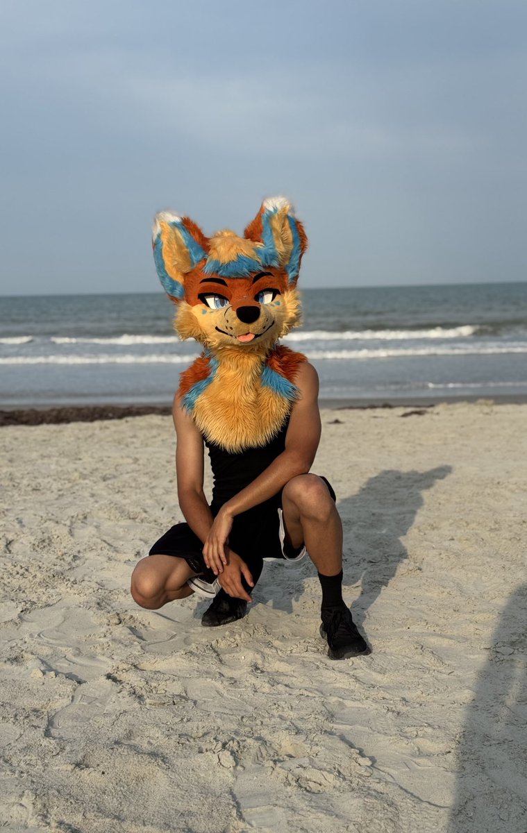 Shock Your Followers:

-I’ve Trained Brazilian Jiu Jitsu For 6 Years

-Played Volleyball For 7 Years 

-I Don’t Come From Wealth, I Work Hard And Party Harder