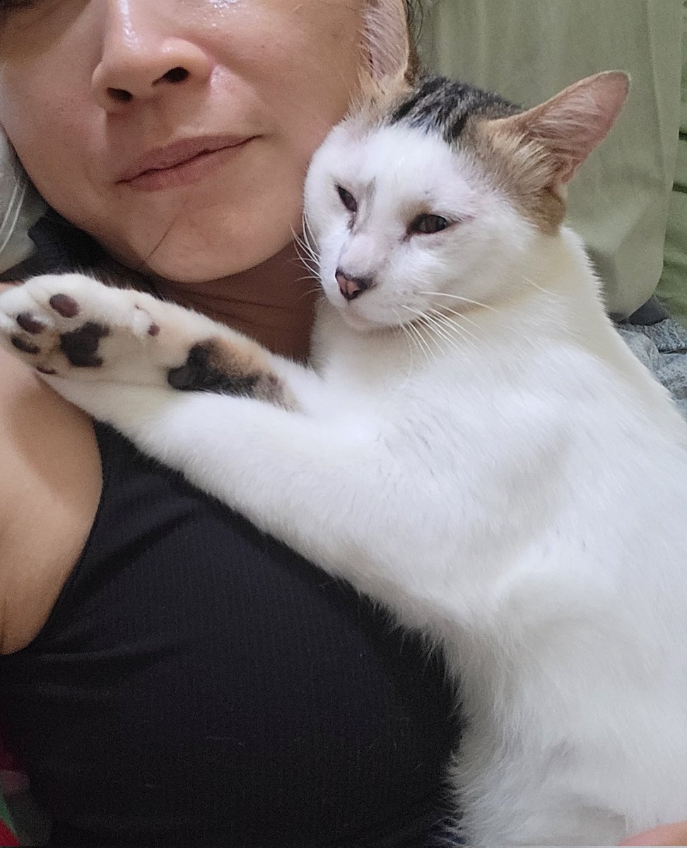 phelish's tweet photo. this one started meds for his flu today. fingers crossed he will continue to be easy to feed meds to 😅😅 https://t.co/Ae600bl4ba