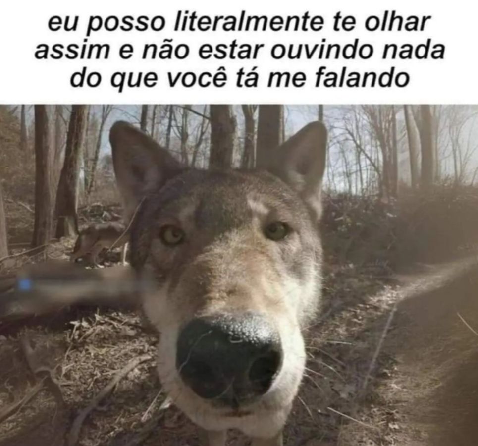 memes_horriveis's tweet image. 