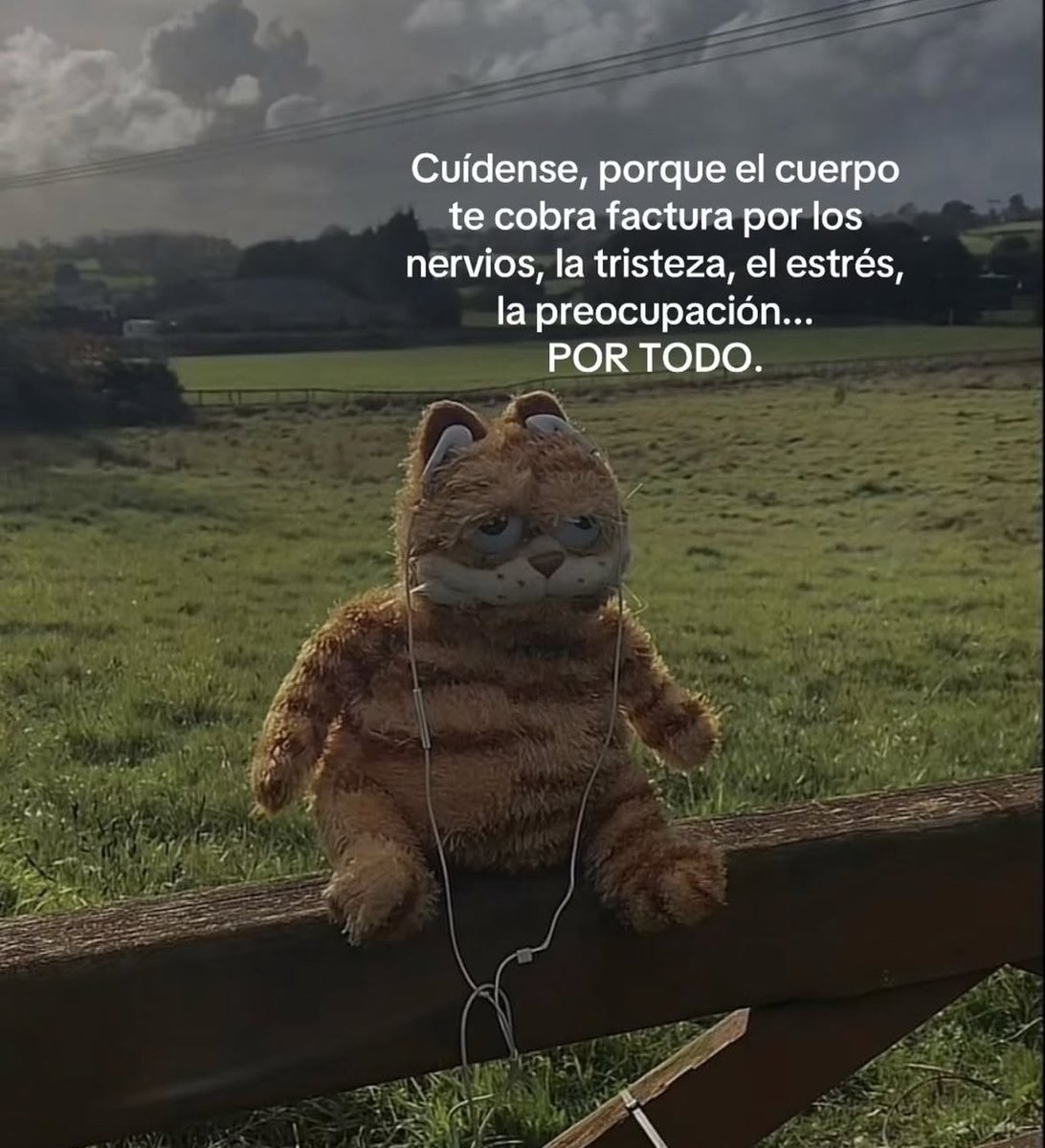 FraseSimple's tweet photo. https://t.co/wu3P0WUHVA