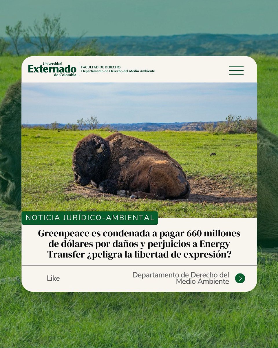 Invitamos a leer la #noticiajurídicoambiental de esta semana “Greenpeace es condenada a pagar 660 millones de dólares por daños y perjuicios a Energy Transfer ¿peligra la libertad de expresión?”🌳💰.

medioambiente.uexternado.edu.co/greenpeace-es-…

#uexternado #medioambiente #litigio #greenpeace