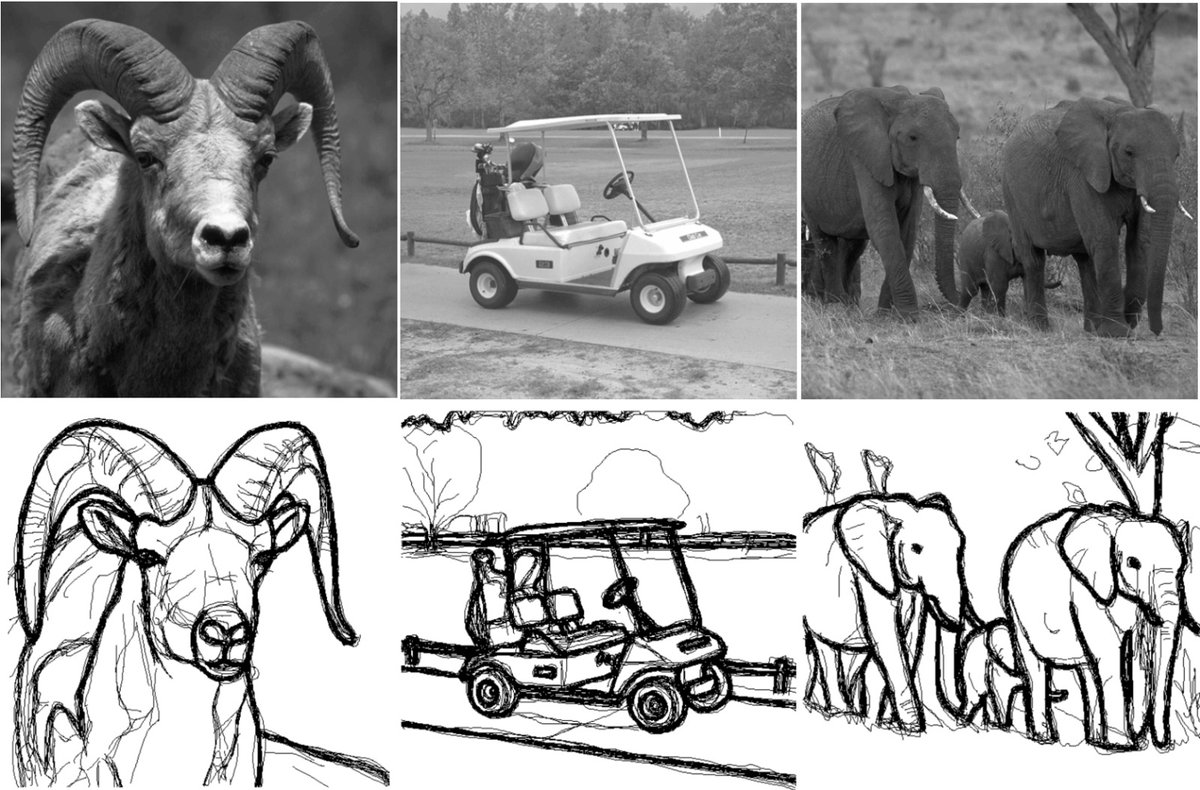 Lynn Schmittwilken tweet media