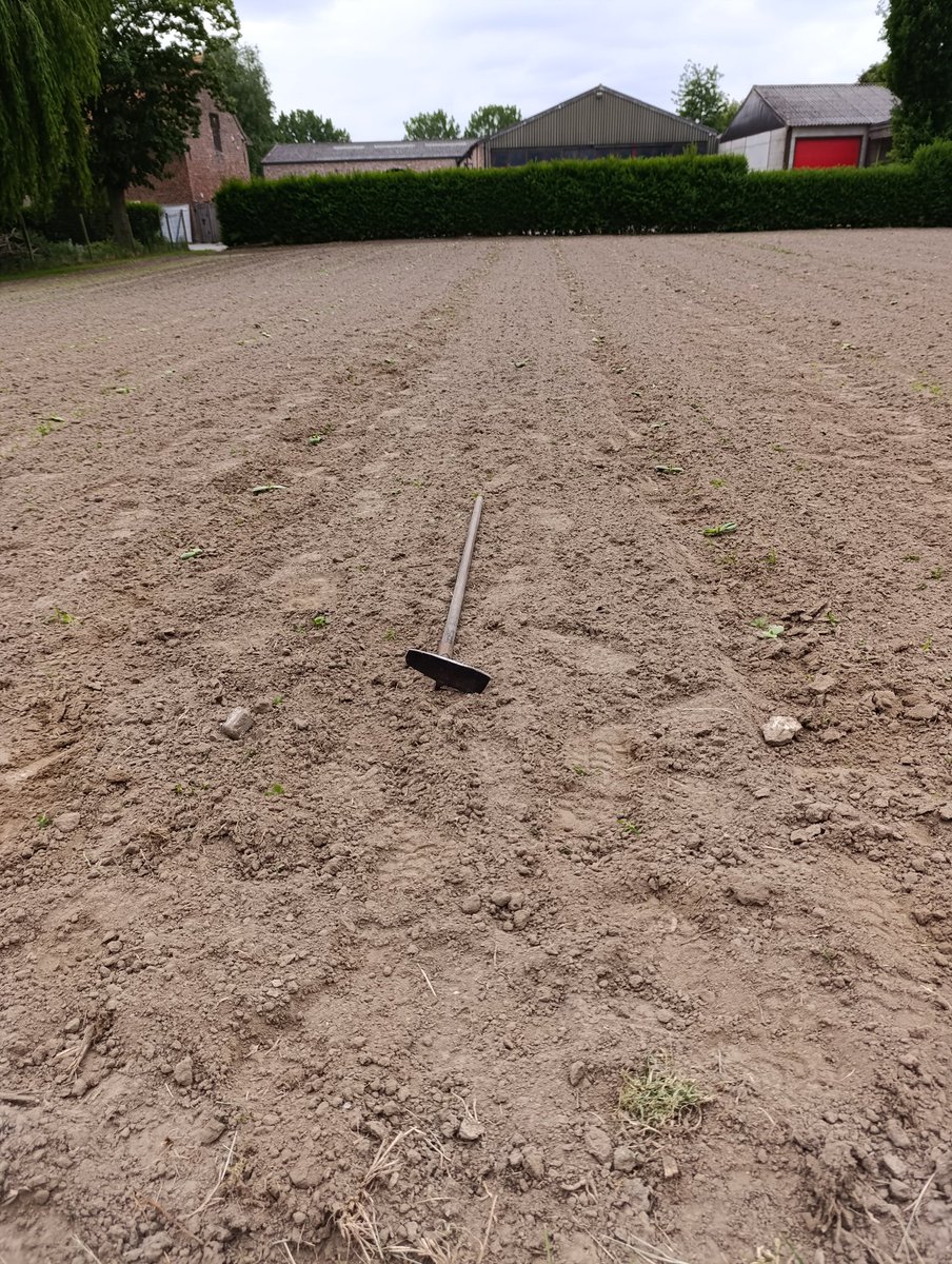 Gezien de commentaren dat er een onkruidje instaat,heb ik er  sebiet  de eerste versie van de Ecorobotics bijgehaald,met verbluffend resultaat.