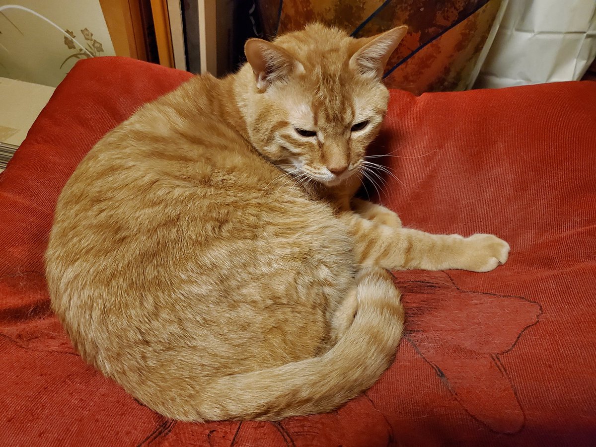 夜に眠いのは自然な事

寝れなくてもいいじゃないか