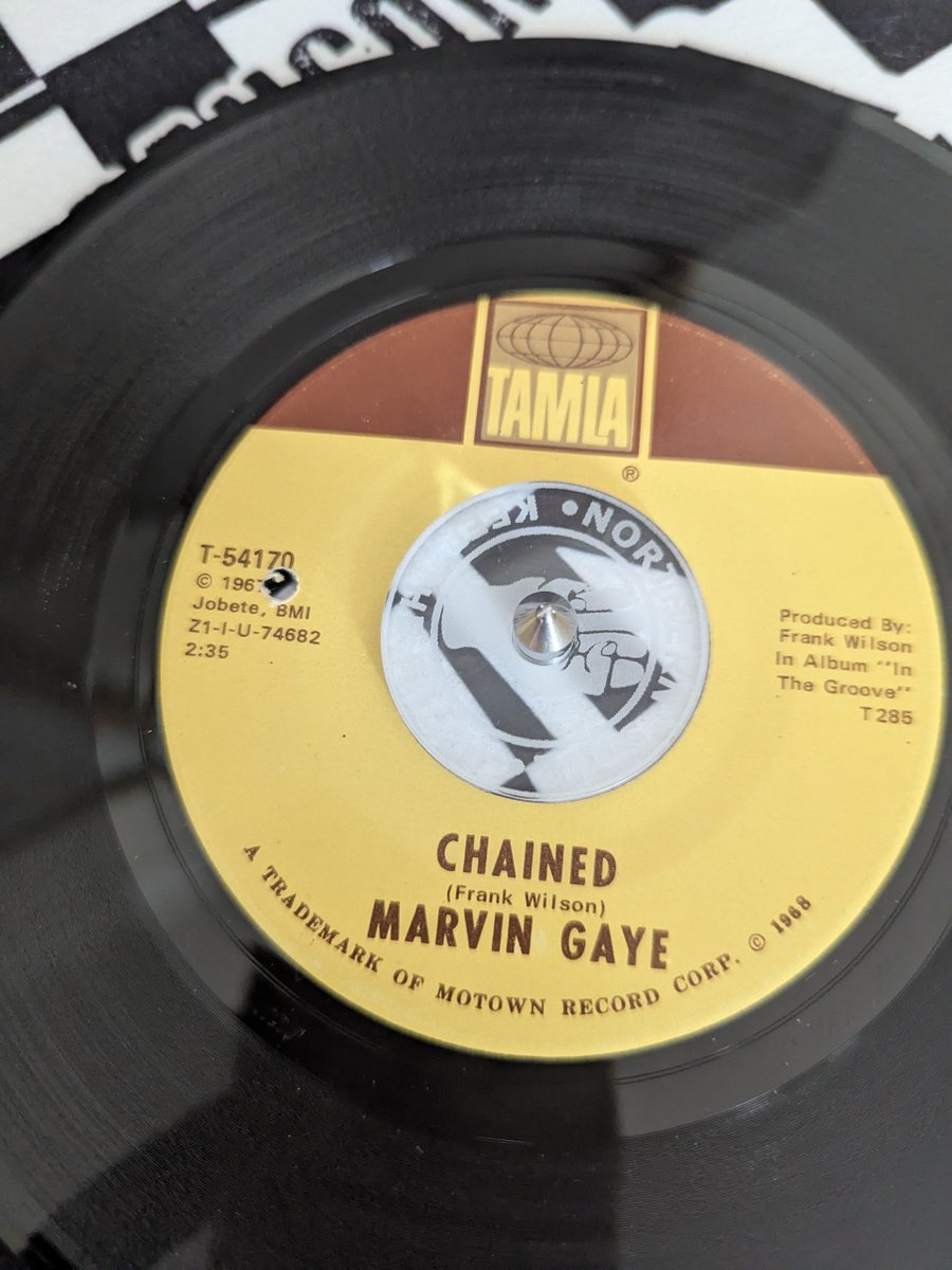 Bangor skaNsoul Cymru/Wales 🏴󠁧󠁢󠁷󠁬󠁳󠁿 tweet media