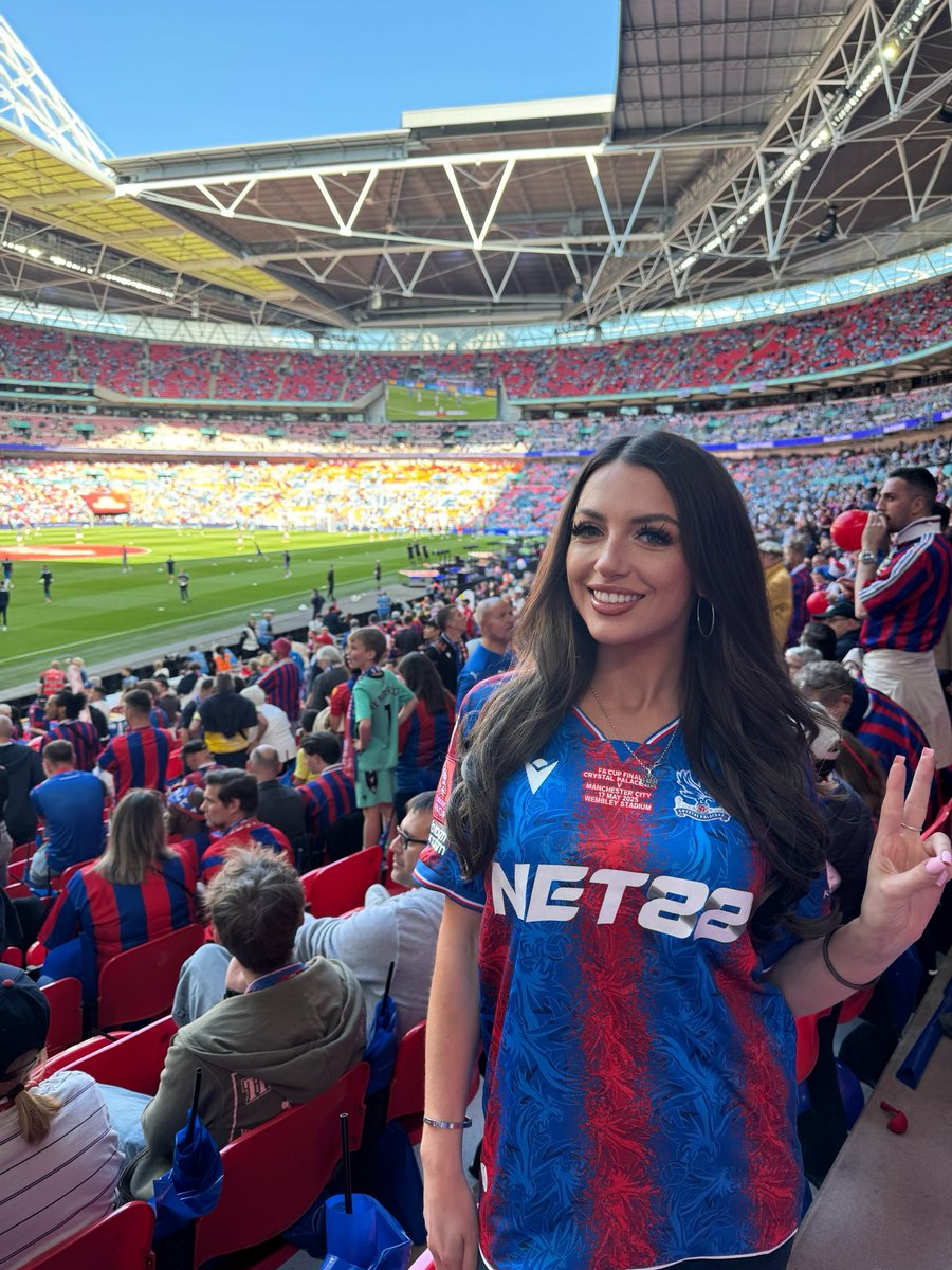 mollyOS ♊️ tweet media