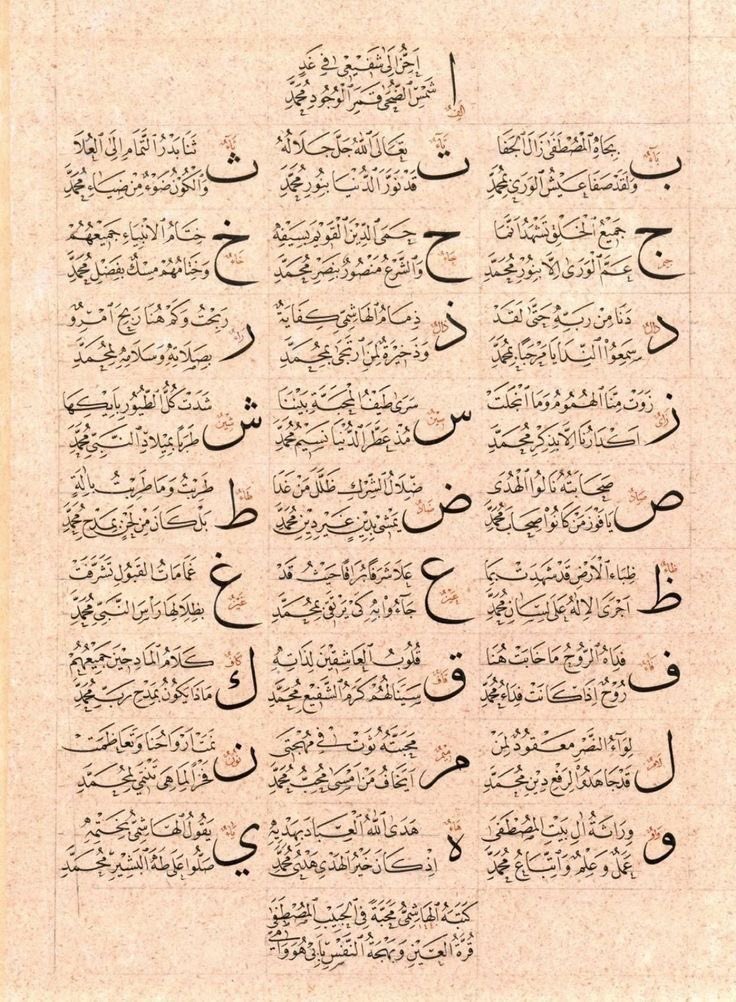 حليمة tweet media