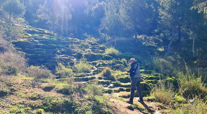 El Chorrón de Cabrejas del Pinar lo pillamos siendo chorrito elliodeabi.com/2024/04/el-cho… #Soria #CyLesVida