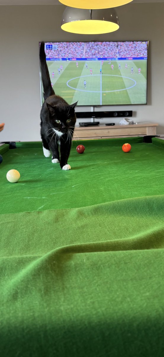 We have a pitch invader…